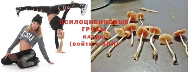 стафф Покровск