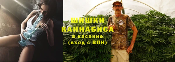 сатива Алзамай