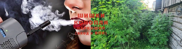 стафф Покровск